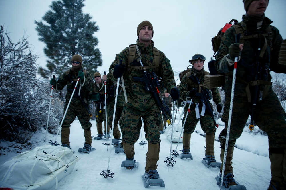 2d LAAD in Mountain Exercise, Mountain Warfare Training Center