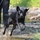 VA police dog, handler help ensure veteran safety at hospitals