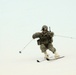 USARAK soldiers tackle Winter Games