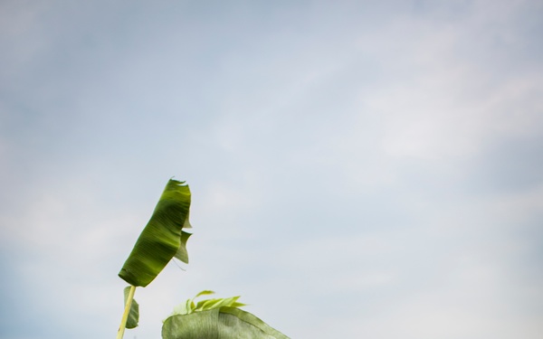 Cobra Gold 2016 Pillar Dedication Ceremony: Wuat Ban Mak School