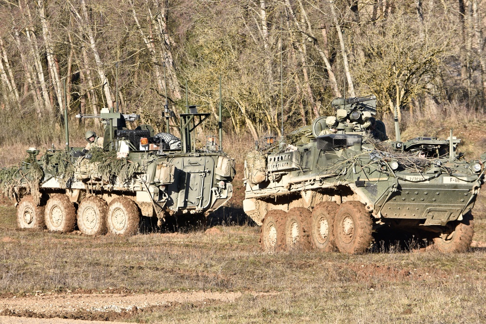 Allied Spirit IV, Cougars' defensive positioning
