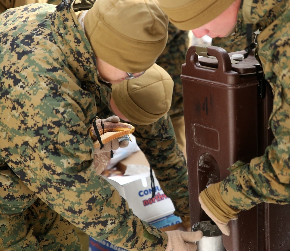 CLB 252 Marines test their vertical limits in preparation for Cold Response 16