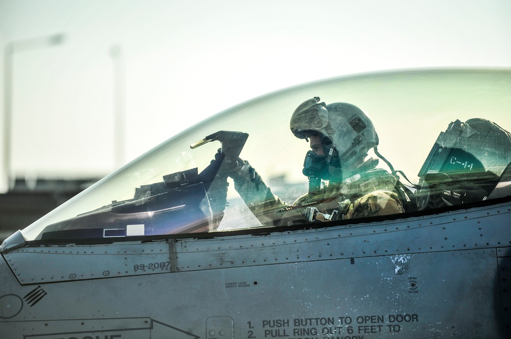 421st EFS 'Black Widows' provide combat airpower