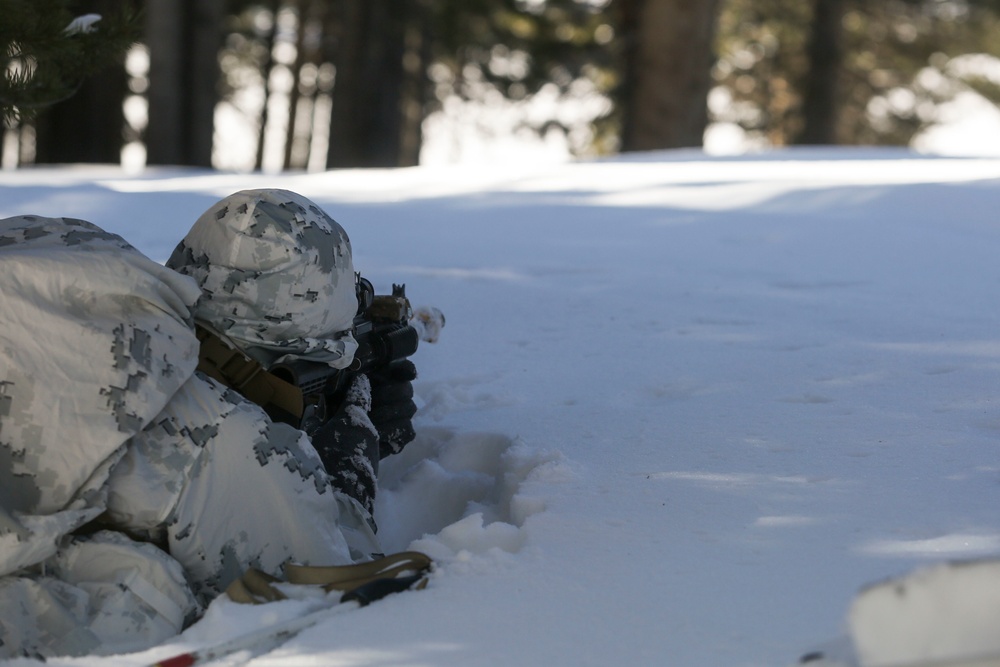 Tackling the Mountain: Marines across II MEF brace themselves for Cold Response 16