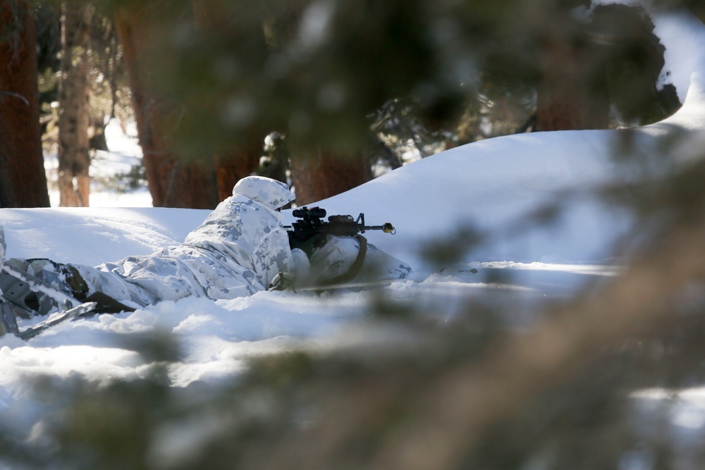 Tackling the Mountain: Marines across II MEF brace themselves for Cold Response 16