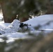 Tackling the Mountain: Marines across II MEF brace themselves for Cold Response 16