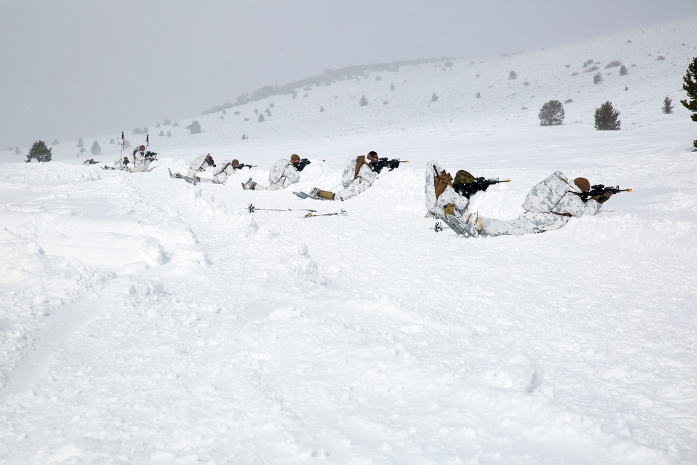 Tackling the Mountain: Marines across II MEF brace themselves for Cold Response 16