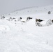 Tackling the Mountain: Marines across II MEF brace themselves for Cold Response 16