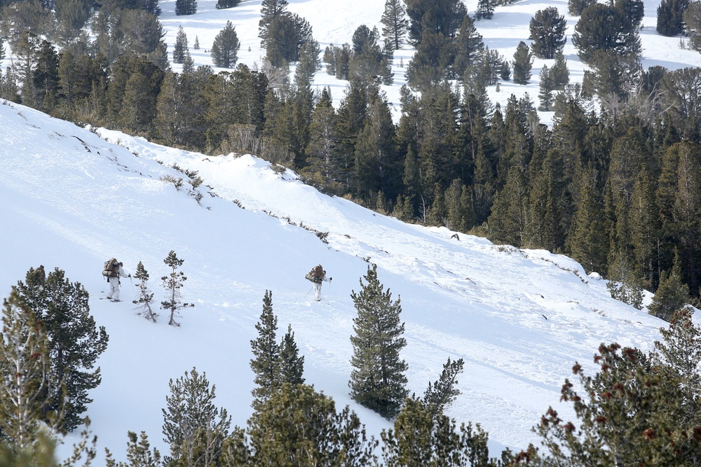 Tackling the Mountain: Marines across II MEF brace themselves for Cold Response 16