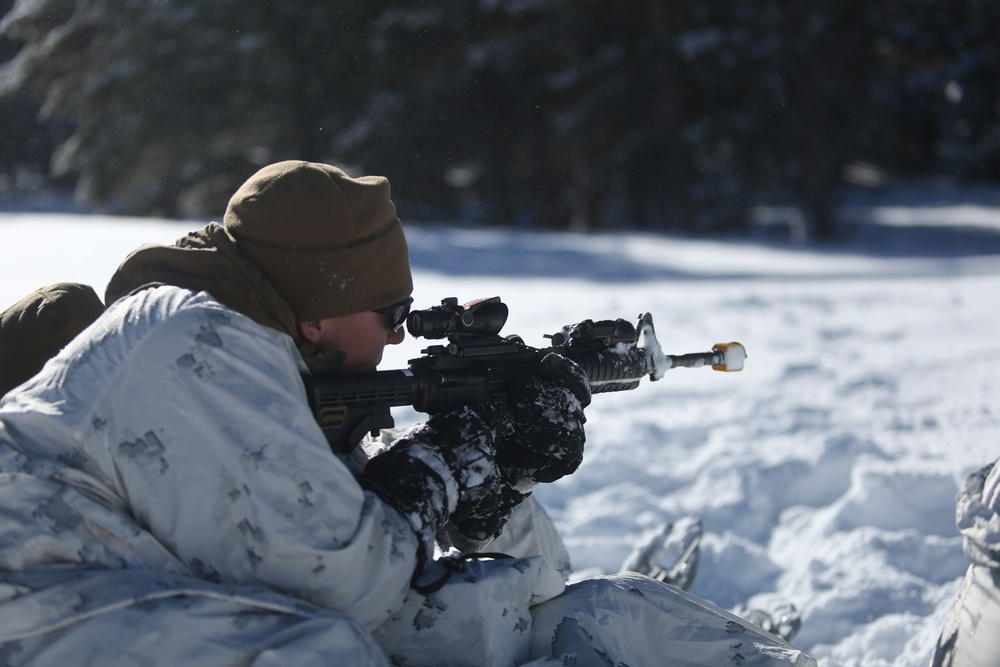 Tackling the Mountain: Marines across II MEF brace themselves for Cold Response 16