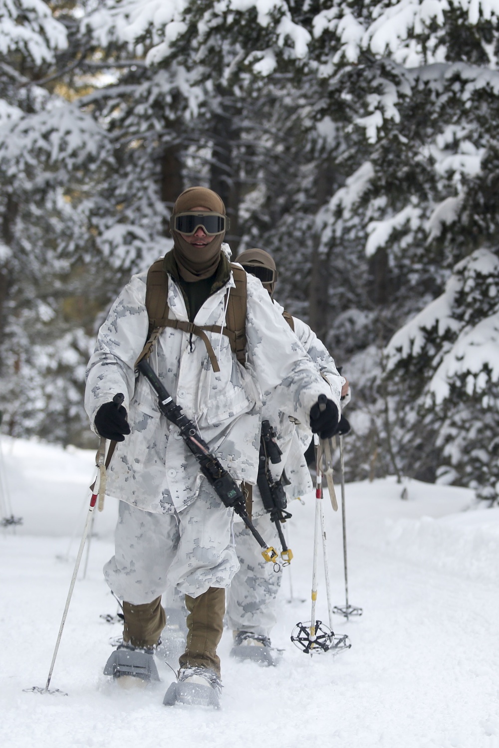 Tackling the Mountain: Marines across II MEF brace themselves for Cold Response 16
