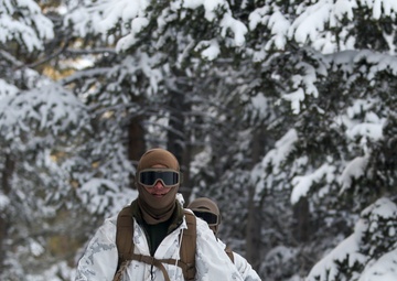 Tackling the Mountain: Marines across II MEF brace themselves for Cold Response 16