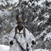 Tackling the Mountain: Marines across II MEF brace themselves for Cold Response 16