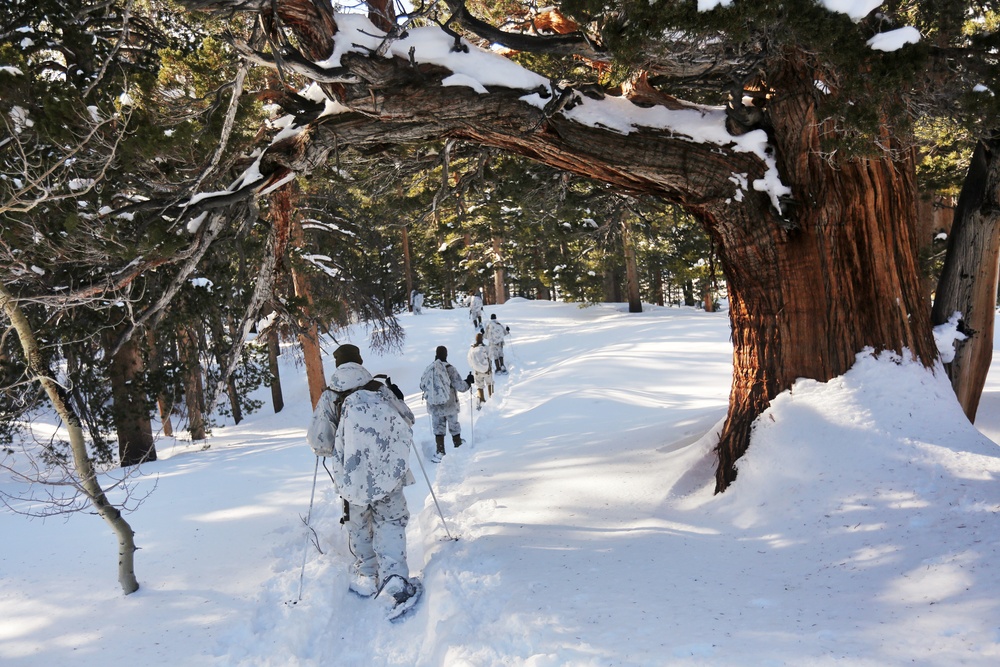 Digging Deep: Marines with 2nd AA Bn. conduct avalanche training