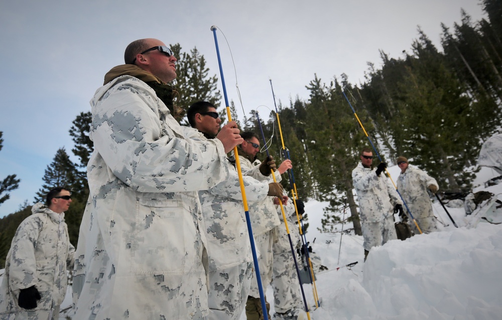 Digging deep: Marines with 2nd AA Bn. conduct avalanche training