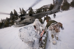 Digging deep: Marines with 2nd AA Bn. conduct avalanche training