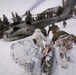 Digging deep: Marines with 2nd AA Bn. conduct avalanche training