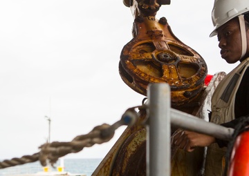 The Amphibious Culture Continues