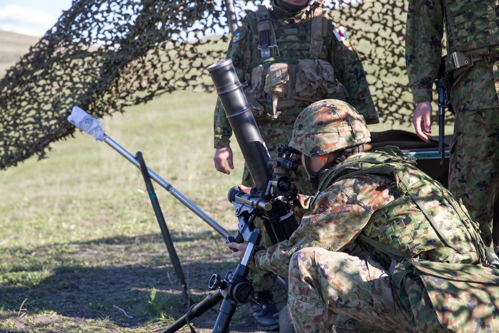 Exercise Iron Fist 2016: 81mm Mortar Shoot