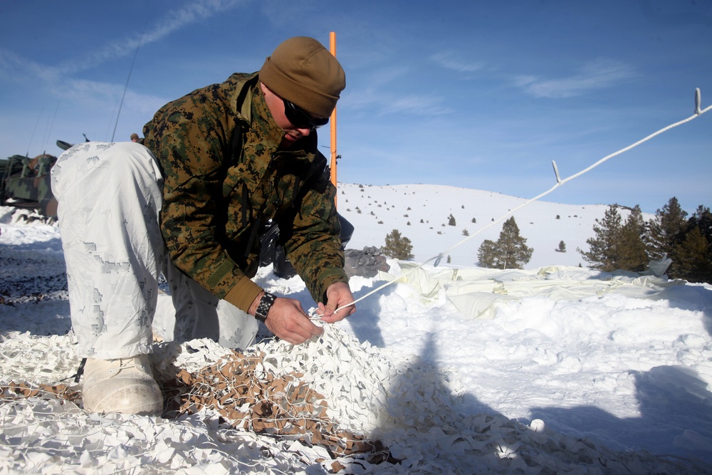 2nd LAAD Bn. conquers Mountain Ex