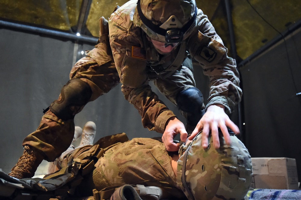 2nd Battalion, 503rd Infantry Regiment, 173rd Airborne Brigade EIB