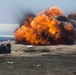 Exercise Iron Fist: Mine Clearing Line Charge