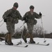Soldiers ski forward during biathlon exercise