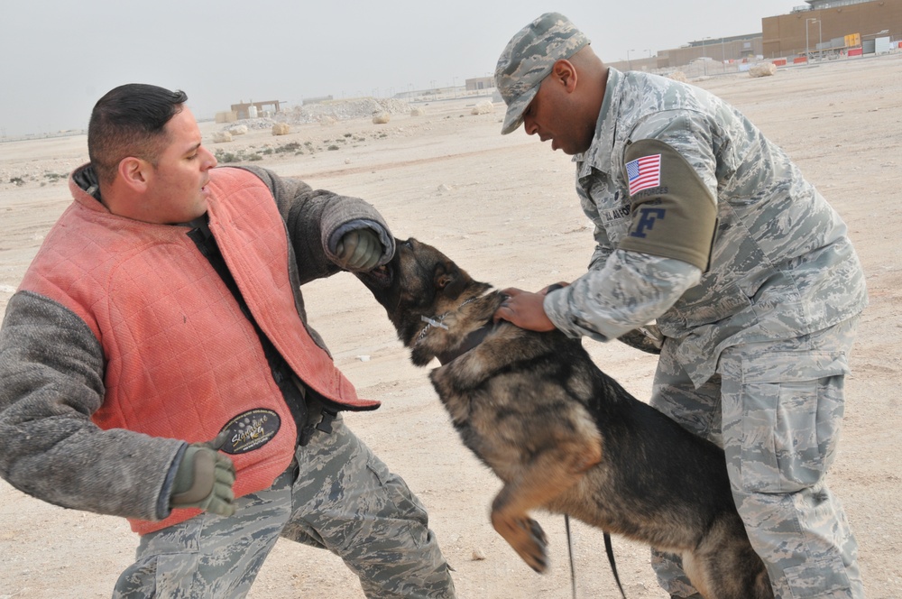 MWD: A bond protecting thousands