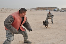 MWD: A bond protecting thousands