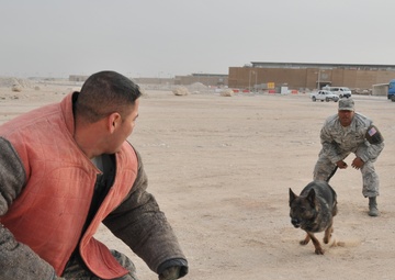 MWD: A bond protecting thousands