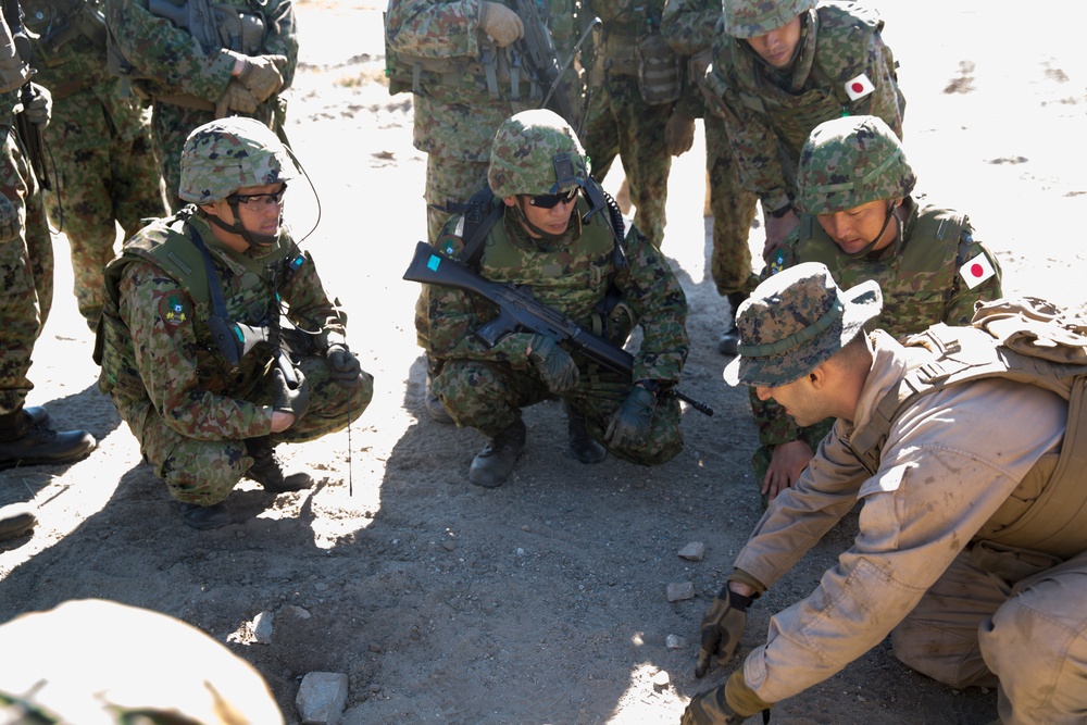 Exercise Iron Fist 2016: 3rd AABN and JGSDF Practice Fire and Maneuver
