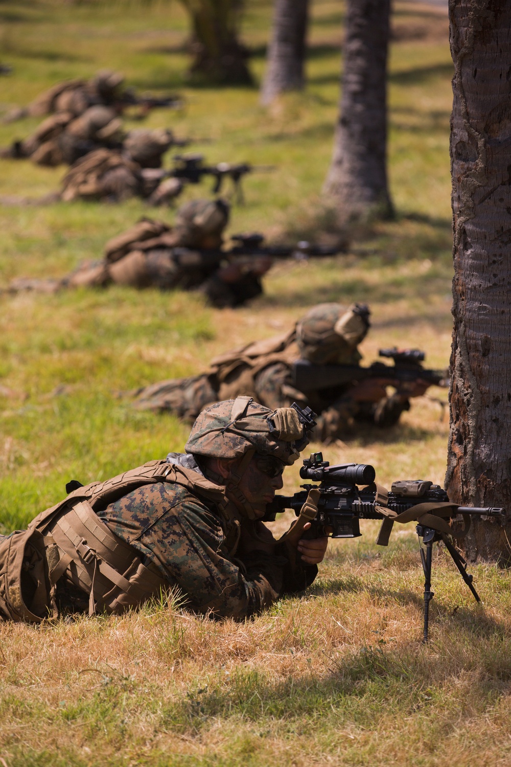 Indonesia Amphibious Assault