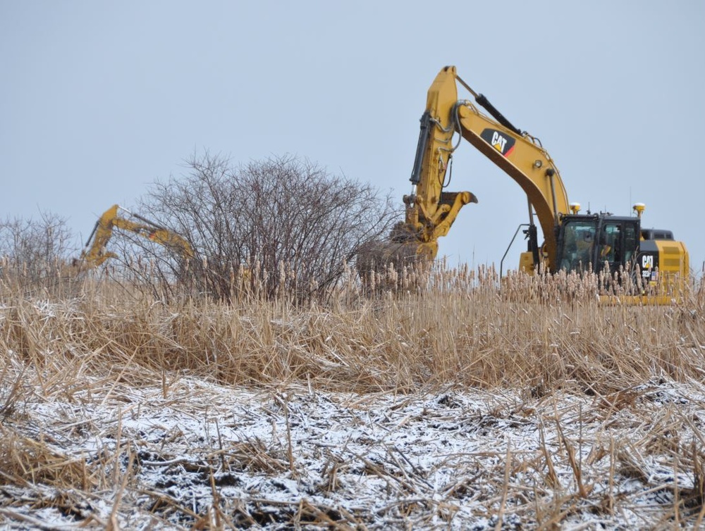Excavation to restore an ecosystem
