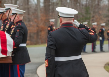 Former top Marine aviator laid to rest