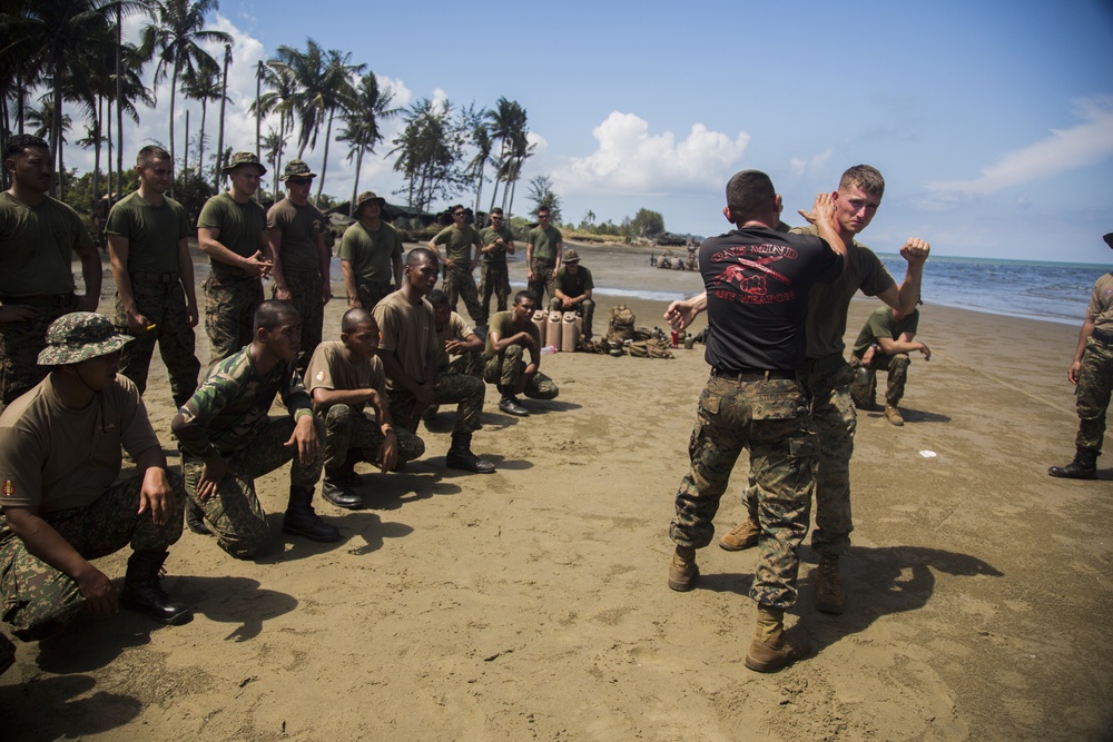 Marine Corps Martial Arts training
