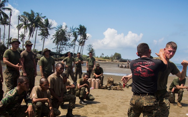 Marine Corps Martial Arts training