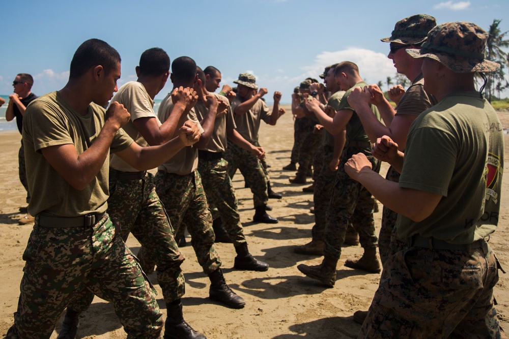 Marine Corps Martial Arts training