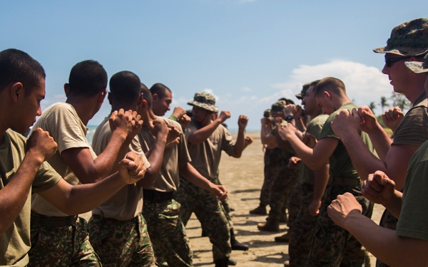Marine Corps Martial Arts training