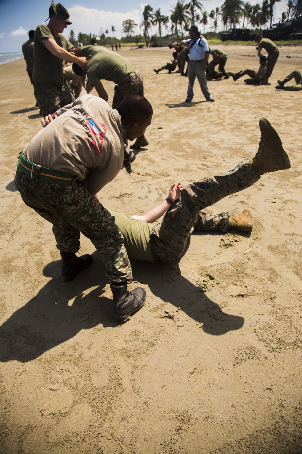 Marine Corps Martial Arts training