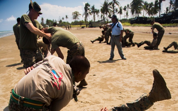 Marine Corps Martial Arts training