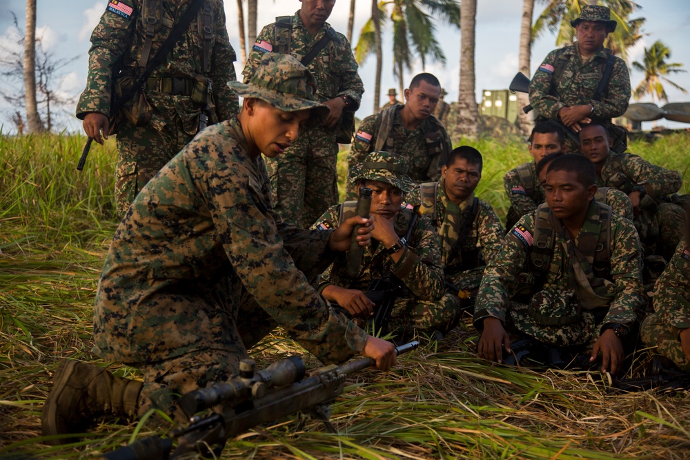 M110 Semi-Automatic Sniper Rifle class