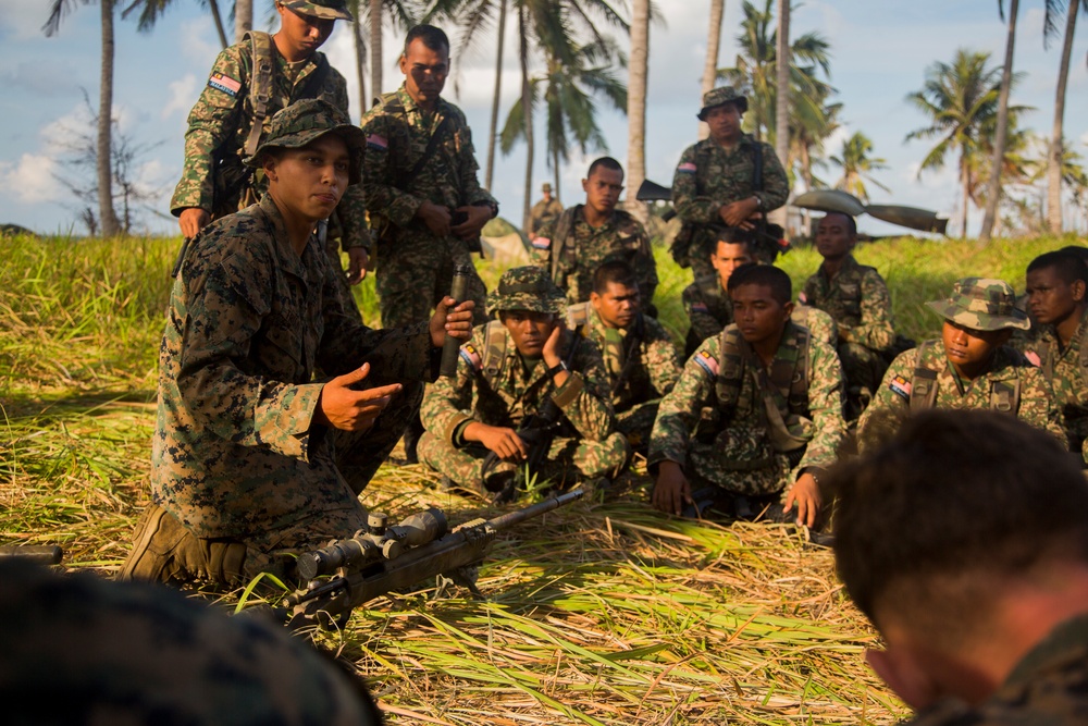 M110 Semi-Automatic Sniper Rifle class