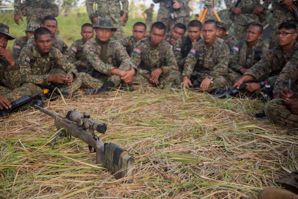 M110 Semi-Automatic Sniper Rifle class