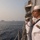 Indian International Fleet Review at sea phase
