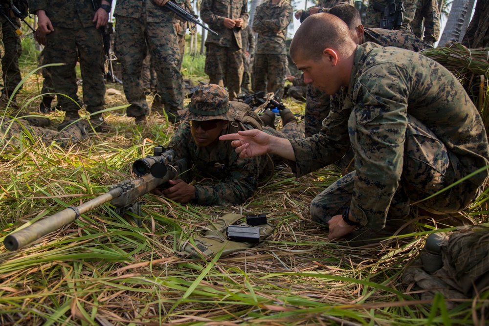 M110 Semi-Automatic Sniper Rifle class