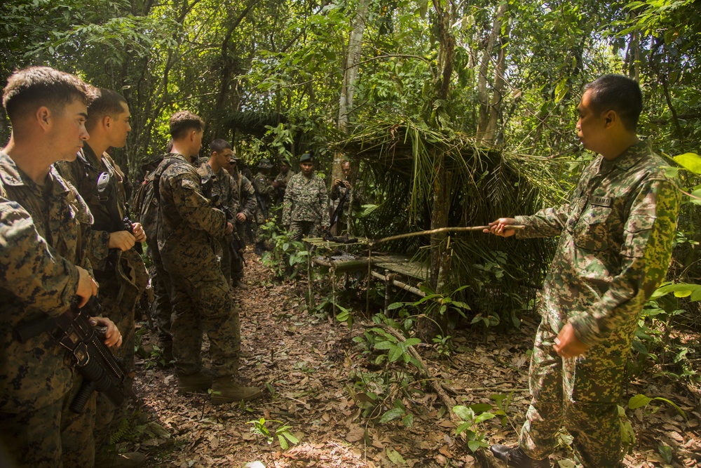 Jungle survival class