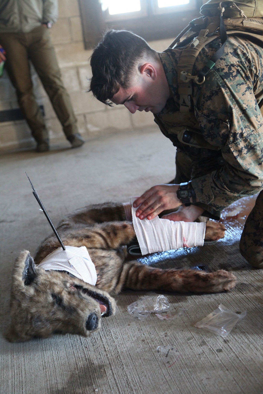 MARSOC K-9 Fast Roping