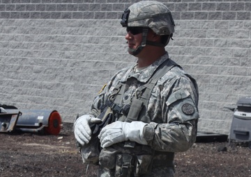 Cavalry commander labels command tour rewarding