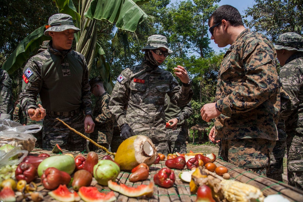 Jungle Survival Training Cobra Gold 16