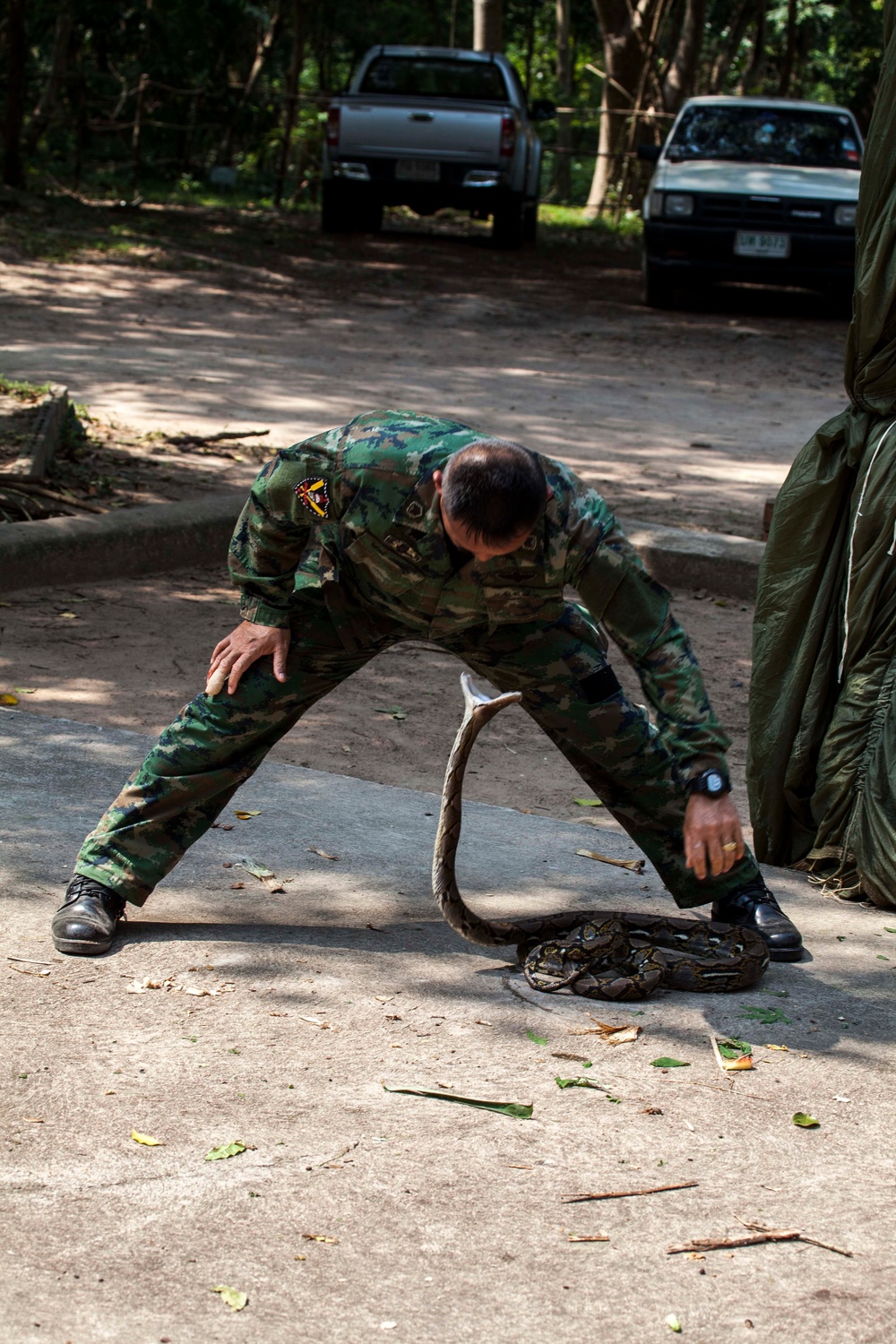 Jungle Survival Training Cobra Gold 16